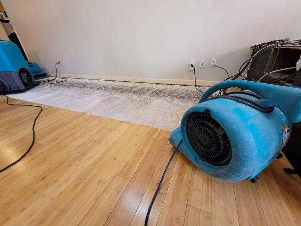 Professional Water Damage Repair technician working in Gwynedd Valley, PA